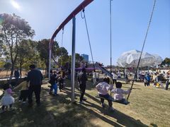 -春花秋色城市公园