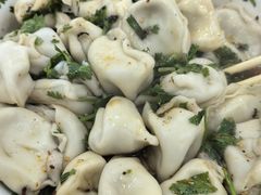-回坊马二饺子馆