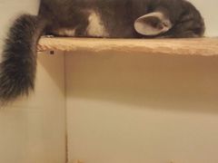 -龙猫仔乐园(惠福东路店)