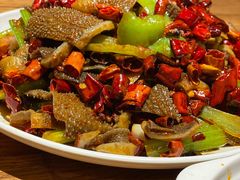 -福苗小骆驼烧烤(莲湖路店)