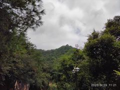 -雁南飞茶田景区