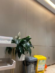 -杭州米兰柏羽医疗美容医院