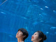 -华夏文旅西安度假区