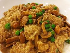 -碧丽宫大酒店(召稼楼店)