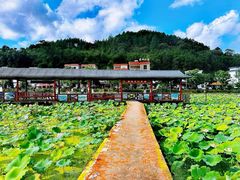 -红山村