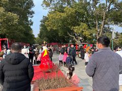 -溱湖国家湿地公园