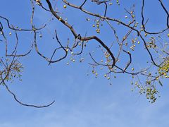 -汉长安城未央宫国家考古遗址公园