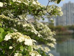 -白塘生态植物园