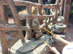 -长鹿旅游休博园