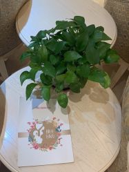 -北京俪婴妇产医院(朝阳大悦城店)