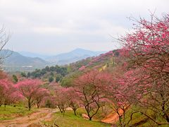 -溪口-滕头旅游景区