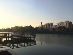环境-新江湾城公园