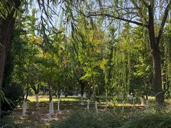 景点-老山城市休闲公园