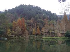 -金顺昌桂林桂花伴手礼(正阳一店)