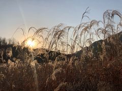 -仙居谷风景区