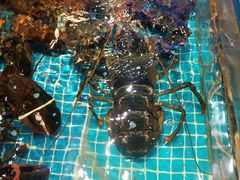 -驻海渔市(置信店)