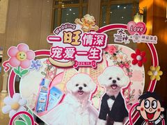 -上海神旺大酒店