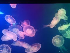 -成都浩海立方海洋公园