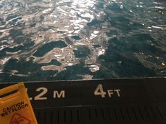 -海河假日酒店·游泳馆