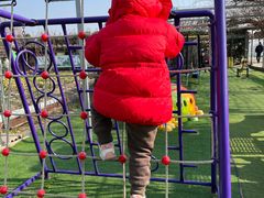 -小鱼草莓采摘园农家乐·小鱼餐厅