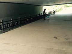iphone_upload_pic-新江湾城公园