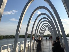 -大兴滨河森林公园