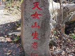 -天女山森林公园