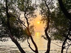 -宝安西湾红树林湿地公园