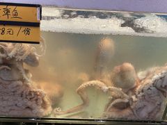 -胖大嫂渔家排档(半边山店)