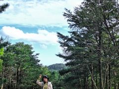 -四明山国家森林公园