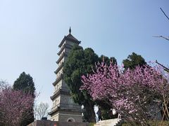-天台山赤城山景区