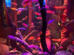 -沈阳海洋探索中心