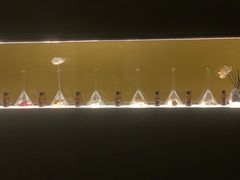 -安屿an·spa(卓悦中心商场店)