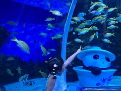 -海合安成都极地海洋公园