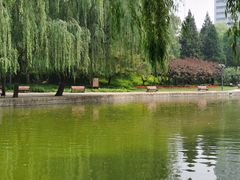 -团结湖公园