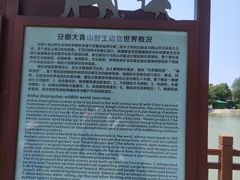 -安徽大青山野生动物世界