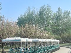 -塘沽森林公园