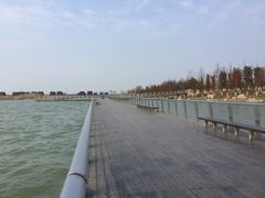 -滆湖低碳生态公园