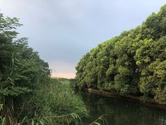 -同里国家湿地公园