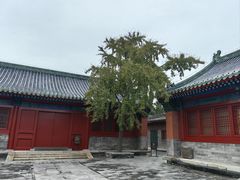 -历代帝王庙博物馆