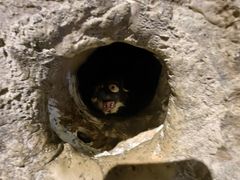 -中国杭州低碳科技馆