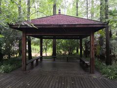-东平国家森林公园