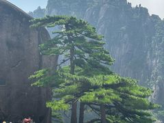 -黄山光明顶山庄