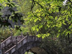 -靖西鹅泉风景区