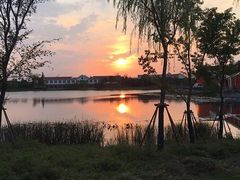 -上海长兴岛郊野公园