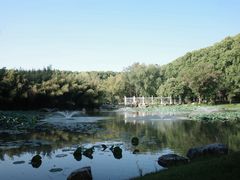 -河南省黄河迎宾馆