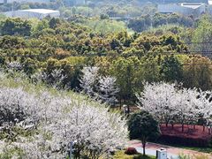 -外高桥保税区南(地铁站)