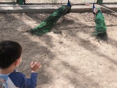 -新疆天山野生动物园