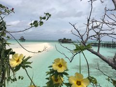 -卡帕莱度假村(西巴丹岛)