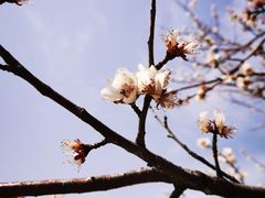 -颐和园